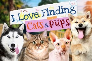 我爱找小猫小狗 I Love Finding Cats & Pups Collector’s Edition for Mac v1.09 英文原生版