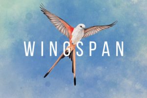 展翅翱翔 WINGSPAN for Mac v1.0.15.1215.1255 中文原生版附DLC